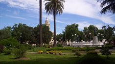 San Antonio de Areco destaca por su casco histórico, donde las calles empedradas y la arquitectura colonial preservan la esencia del pueblo. San Antonio de Areco destaca por su casco histórico, donde las calles empedradas y la arquitectura colonial preservan la esencia del pueblo.