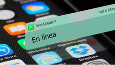 WhatsApp implementó la función para ocultar el En línea. WhatsApp implementó la función para ocultar el En línea.