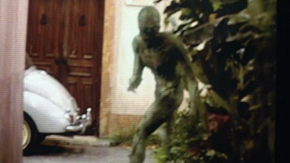 Família nos EUA insiste que viu aliens de 3 metros no quintal de