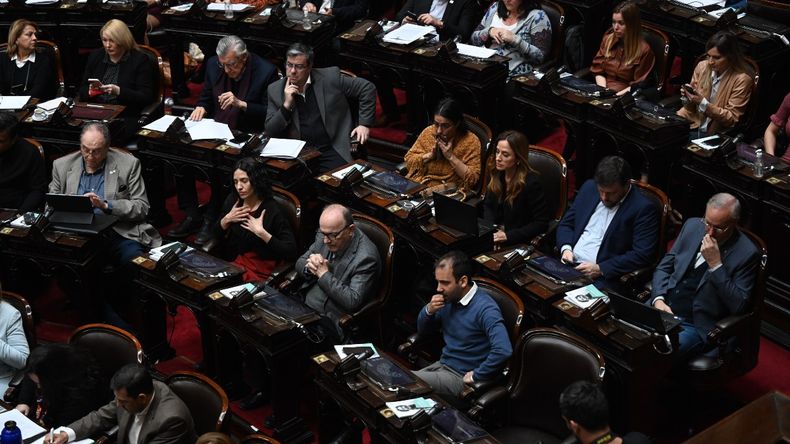 Germán Martinez del bloque de Frente de Todos.&nbsp;