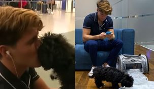 Marcos conmovió a todos en su reencuentro con Mora. Marcos conmovió a todos en su reencuentro con Mora.