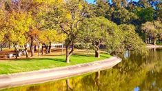 Navarro ofrece tradición y naturaleza a pocos kilómetros de CABA. Navarro ofrece tradición y naturaleza a pocos kilómetros de CABA.