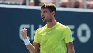 Actualmente ocupa el puesto 49 del ranking ATP y llegó a ser número 29 del mundo.