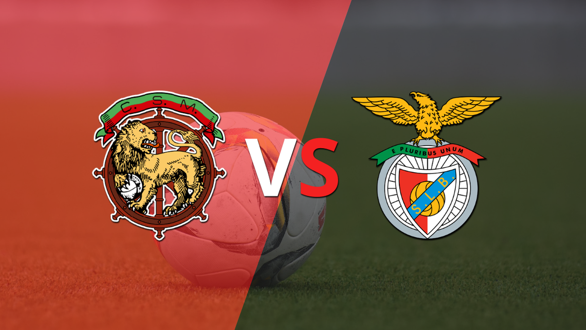 marítimo x Benfica, por Portugal Data 24