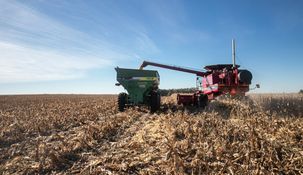 El cupo de u$s7.000 millones para los granos se agotó en solo tres días.