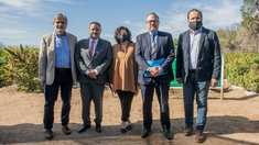 La Rioja, provincia pionera en cannabis medicinal.