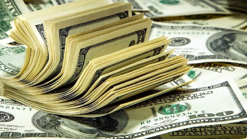 Cómo solicitar la devolución de las percepciones por compras en moneda extranjera