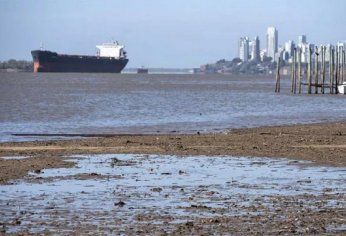 La carga de los barcos promedió 29.084 toneladas, casi un 11% por debajo de la carga promedio de enero del 2021.