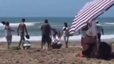 Video: violenta pelea entre churreros y vendedores ambulantes en Mar Azul Video: violenta pelea entre churreros y vendedores ambulantes en Mar Azul