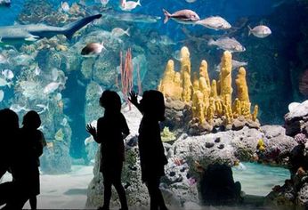 Acuario de Temaikèn