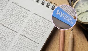 ANSES dio detalles sobre las fechas de cobro del bono de $55.000. ANSES dio detalles sobre las fechas de cobro del bono de $55.000.