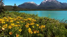 Tres lugares para redescubir la Patagonia: montañas, nieves, lagos, flora y fauna únicas en el mundo. Tres lugares para redescubir la Patagonia: montañas, nieves, lagos, flora y fauna únicas en el mundo.