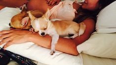 Lourdes Sanchez muestra cómo se mueve su panza. Lourdes Sanchez muestra cómo se mueve su panza.
