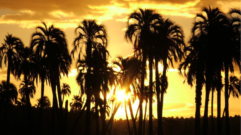 Se acerca el finde y las familias ya comienzan a planear sus escapadas cerca de la Ciudad Autónoma de Buenos Aires. Te dejamos una gran opción.