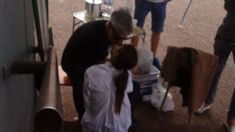 José Palazzo habló sobre su relación con Juana Viale: Está todo bien, bárbaro José Palazzo habló sobre su relación con Juana Viale: Está todo bien, bárbaro