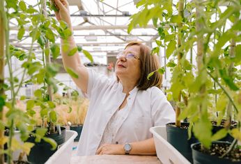 Chan es investigadora superior del CONICET, profesora de la Universidad Nacional del Litoral (UNL) y directora del Instituto de Agrobiotecnología del Litoral (CONICET-UNL). Chan es investigadora superior del CONICET, profesora de la Universidad Nacional del Litoral (UNL) y directora del Instituto de Agrobiotecnología del Litoral (CONICET-UNL).
