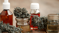 ElREPROCANN estásiendo sometido a una auditoría. ElREPROCANN estásiendo sometido a una auditoría.