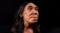 Científicos logran reconstruir el rostro de una mujer neardental de 40 años. Científicos logran reconstruir el rostro de una mujer neardental de 40 años.