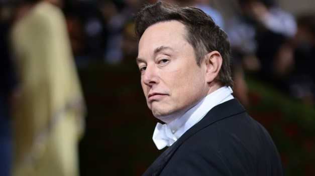Elon Musk milmillonario y heredero.