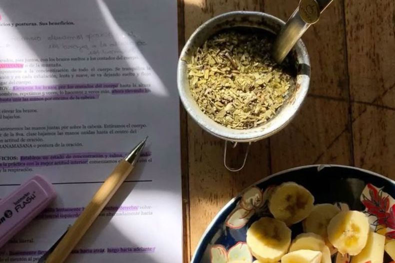 Si te gusta el mate y estás sufriendo insomnio te proponemos un ritual a base de un saludable yuyo.