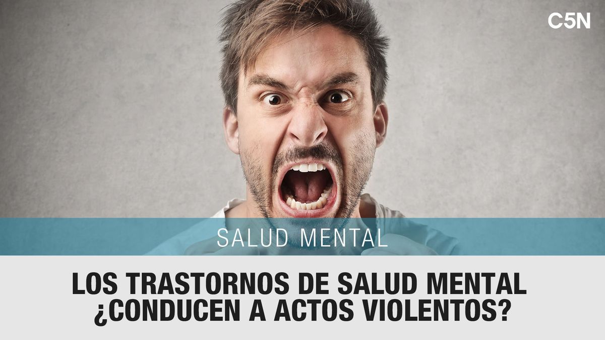 ¿hay Una Relación Directa Entre Los Trastornos De Salud Mental Y Los Actos Violentosemk 2073