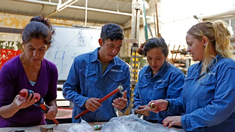 El Gobierno dio de baja el plan Volver al Trabajo y ofreció vouchers para capacitación laboral