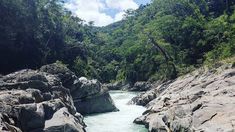 El rio escondido entre la selva de montaña de Salta. El rio escondido entre la selva de montaña de Salta.