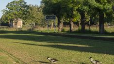 La escapada cerca de Buenos Aires a un pueblo oculto casi deshabitado para hacer turismo rural. La escapada cerca de Buenos Aires a un pueblo oculto casi deshabitado para hacer turismo rural.