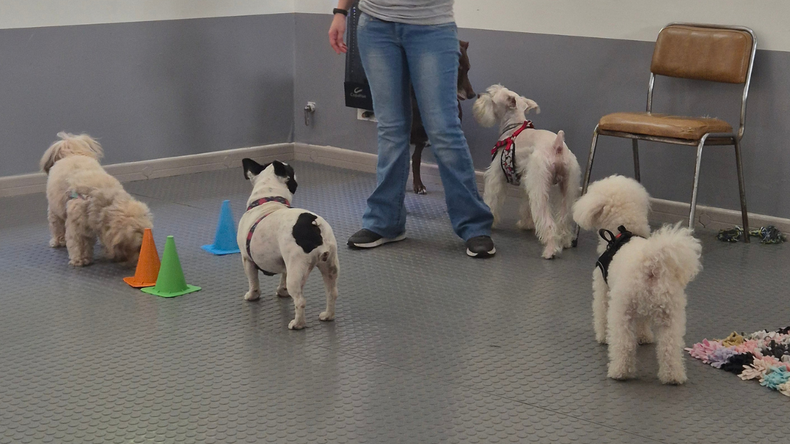 Algunos de los alumnos en Ladra junto a sus educadoras caninas.