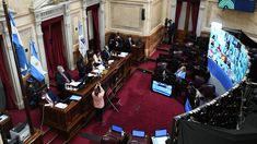 Los senadores electors jurarán para ingresar a sus bancas. Los senadores electors jurarán para ingresar a sus bancas.