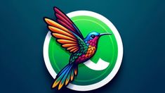 Cómo activar el modo colibrí en WhatsApp Cómo activar el modo colibrí en WhatsApp