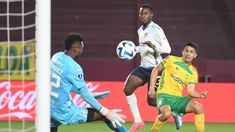 El Halcón pasó de largo por la Copa Sudamericana El Halcón pasó de largo por la Copa Sudamericana