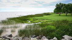 A menos de dos horas de Buenos Aires, Magdalena ofrece turismo de descanso, paseos culturales y avistaje de aves únicas. A menos de dos horas de Buenos Aires, Magdalena ofrece turismo de descanso, paseos culturales y avistaje de aves únicas.