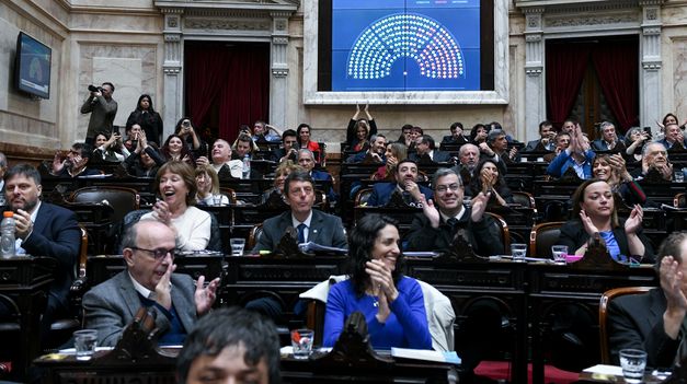 Diputados rechazó los vetos de Javier Milei a la Emergencia Pediátrica y el Financiamiento Universitario