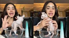 Viral: bañaba a su gato y su video generó un sinfín de reacciones. Viral: bañaba a su gato y su video generó un sinfín de reacciones.