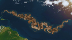 Apareció una franja marrón en el Océano Atlántico. Apareció una franja marrón en el Océano Atlántico.