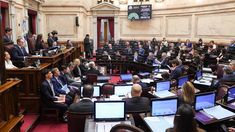 El Senado buscará rechazar los vetos de Javier Milei contra el financiamiento universitario y la emergencia pediátrica El Senado buscará rechazar los vetos de Javier Milei contra el financiamiento universitario y la emergencia pediátrica