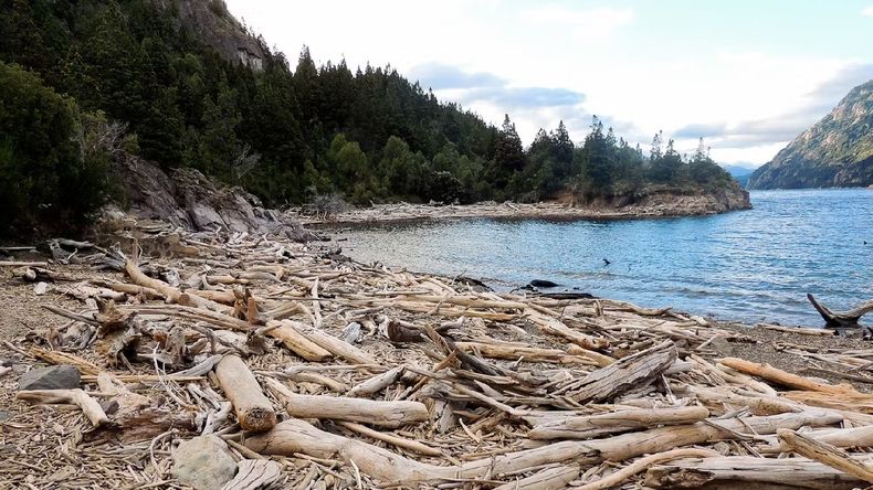 Playa Bahía de los Troncos, Bariloche