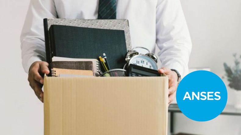 La administración estatal proporciona apoyo económico a individuos que perdieron su empleo.  