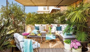 Las mejores plantas para mantener con vida en una terraza urbana.