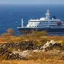El crucero MV Hondius se volvió inesperadamente famoso en el mundo por los casos de hantavirus. El crucero MV Hondius se volvió inesperadamente famoso en el mundo por los casos de hantavirus.