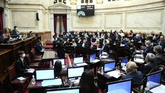 Tras no dar quórum en el Senado, el oficialismo acusa a la oposición de ser mascota del poder.&nbsp;&nbsp;