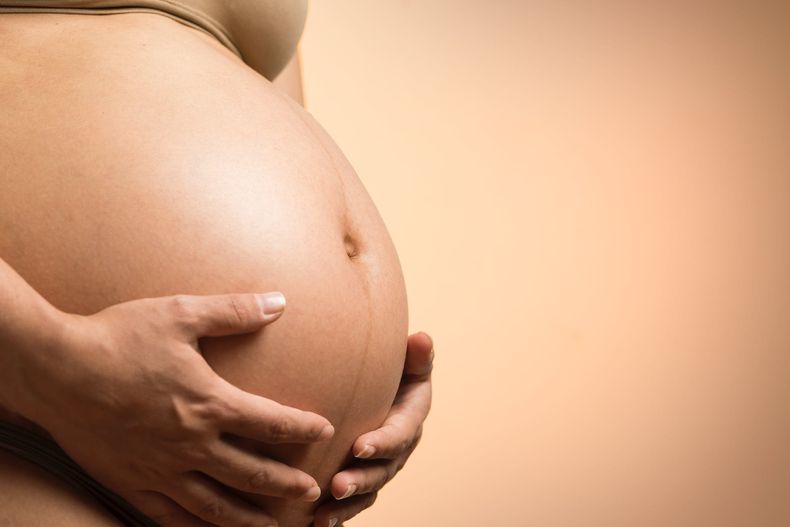 Las madres gestantes podrán acceder a $18.270.
