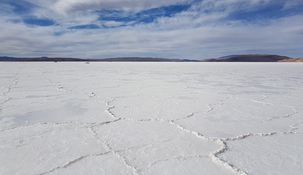 La industria del litio continúa en pleno crecimiento y alcanza niveles históricos&nbsp;