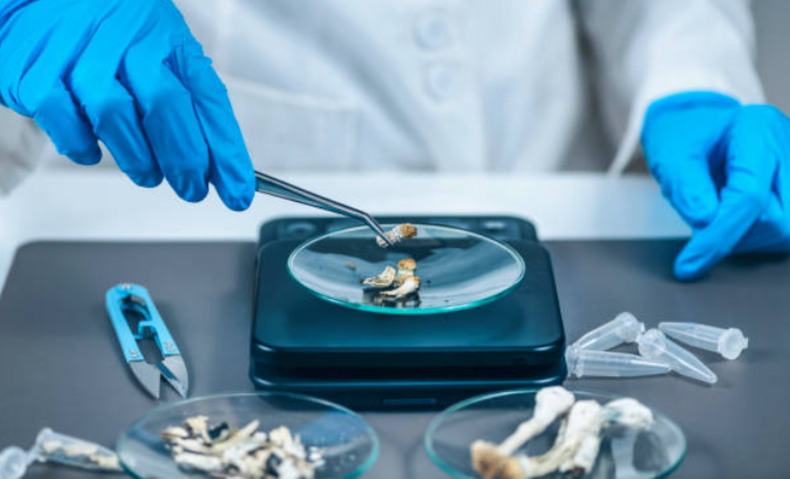 El éxtasis y los hongos alucinógenos se indicarán para el estrés postraumático y algunos tipos de depresión.