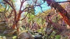 Este refugio en la provincia de Córdoba bien podría compararse con ambientes de libros o películas de fantasía. Este refugio en la provincia de Córdoba bien podría compararse con ambientes de libros o películas de fantasía.