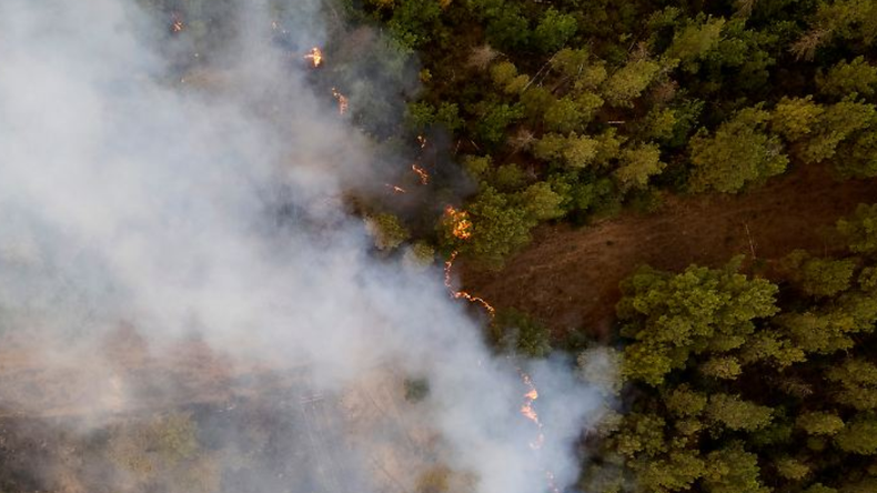 Impresionante incendio forestal en Terenife: al menos 3.000 evacuados