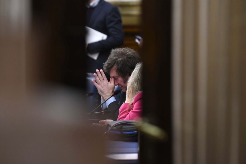 Javier Milei aseguró que no habrá ningún cálculo político en su voto.