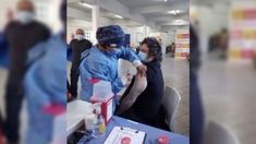 Javier Milei se dio la vacuna contra el coronavirus para viajar a Estados Unidos. Javier Milei se dio la vacuna contra el coronavirus para viajar a Estados Unidos.