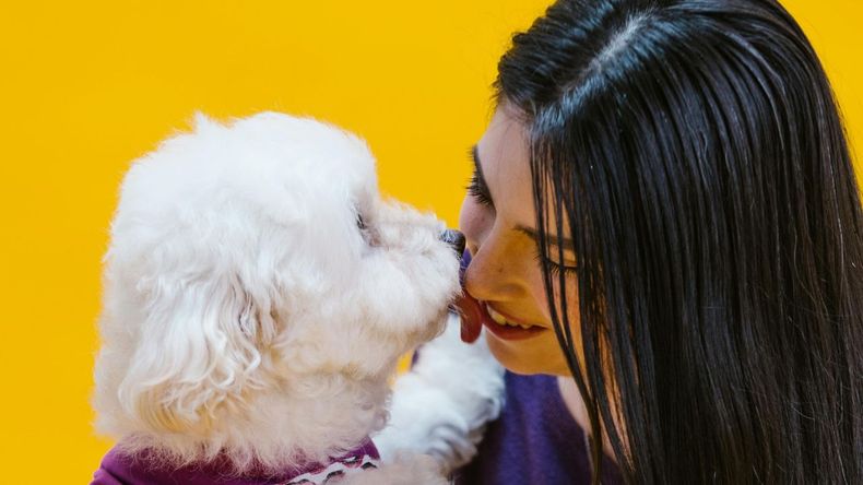 Estas muestras de cariño pueden generar confusión o estrés en el animal, ya que invaden su espacio personal y rompen con las formas naturales que tienen para relacionarse. 